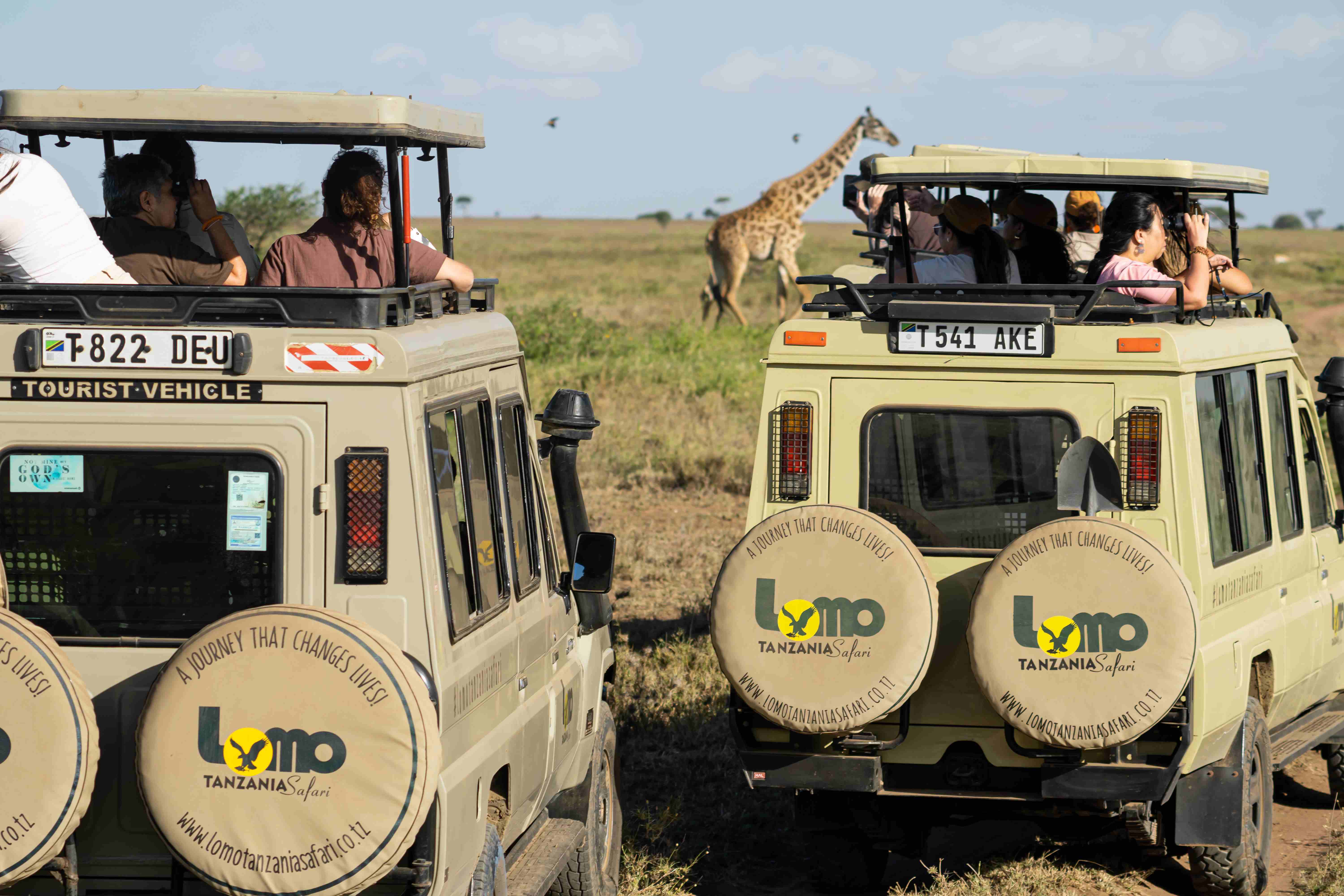 Lomo Tanzania safari experience